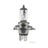 HERTH+BUSS ELPARTS 89901100 Glühlampe H4 60/55W 12V