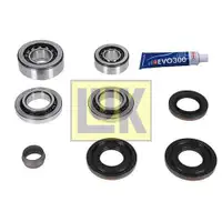 Reparatursatz Differential Schaeffler Luk 462 0215 10 Luk Gearbox für Bmw