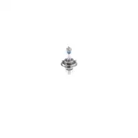 BOSCH 1 987 301 160 Glühlampe H4 60/55W 12V P43t