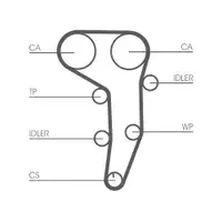 CONTINENTAL CTAM CT1051WP3 Zahnriemen Kit + Wasserpumpe