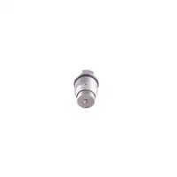Druckbegrenzungsventil Common Rail System Bosch 1 110 010 017