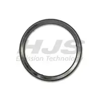 HJS 83 32 4041 Dichtung Fiat für SAAB, FIAT, ALFA, OPEL, LANCIA, CADILLAC, JEEP