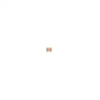 BOSCH 1 987 529 028 Sicherung