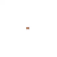 BOSCH 1 987 529 029 Sicherung
