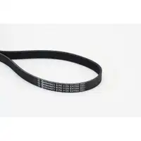 CONTINENTAL CTAM 6PK1120 EXTRA Keilrippenriemen für AUDI