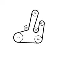 Keilrippenriemensatz Continental Ctam 6PK1845K1 für Ford