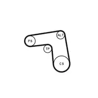 Keilrippenriemensatz Continental Ctam 7PK1076K1
