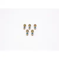 BOSCH 2 914 552 155 Schraube Mikroverkapselt