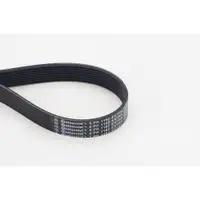 CONTINENTAL CTAM 8PK1162 EXTRA Keilrippenriemen