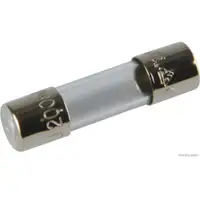 HERTH+BUSS ELPARTS 50295041 Sicherung 0.2A
