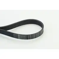 CONTINENTAL CTAM 6PK1157 EXTRA Keilrippenriemen