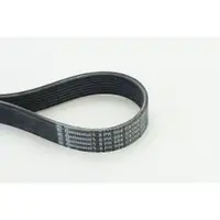 CONTINENTAL CTAM 8PK954 EXTRA Keilrippenriemen