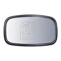 FEBI BILSTEIN 102224 Weitwinkelspiegel für IVECO
