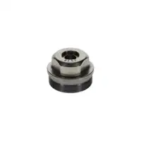 BOSCH F 002 D13 576 Schraube
