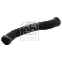 FEBI BILSTEIN 46491 Ladeluftschlauch für FORD