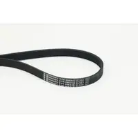 CONTINENTAL CTAM 6PK868 ELAST Multi V-Belt