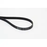 CONTINENTAL CTAM 5PK1245 Keilrippenriemen