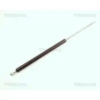 Gasfeder Koffer /laderaum Triscan 8710 25211 für Renault