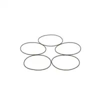 BOSCH 1 410 210 054 Dichtring