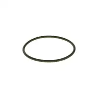 Dichtring Bosch F 00N 201 857