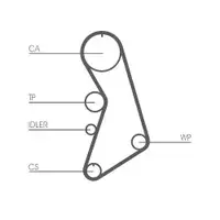 CONTINENTAL CTAM CT909WP5 Zahnriemen Kit + Wasserpumpe für AUDI, SEAT, VW, SKODA