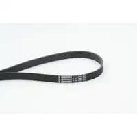 CONTINENTAL CTAM 7PK2061 Keilrippenriemen
