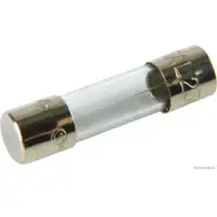 HERTH+BUSS ELPARTS 50295005 Sicherung 5A