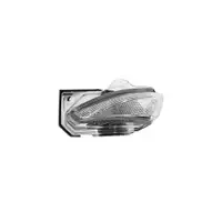 VAN WEZEL Blinker seitlich li. 5415915
