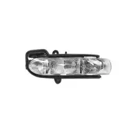 VAN WEZEL Blinker seitlich re./li. 3032914