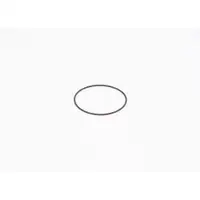 BOSCH F 01M 100 371 Dichtring
