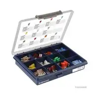 HERTH+BUSS ELPARTS 54295640 Sortiment, Sicherungen