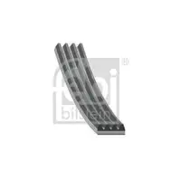 FEBI BILSTEIN 28803 Keilrippenriemen für IVECO, KIA