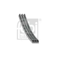 FEBI BILSTEIN 179058 Keilrippenriemen