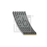FEBI BILSTEIN 181285 Keilrippenriemen