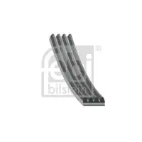 FEBI BILSTEIN 178934 Keilrippenriemen für FIAT