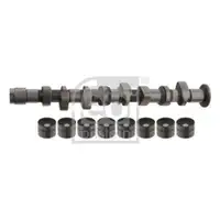 FEBI BILSTEIN 32994 Nockenwellensatz für VW, SEAT