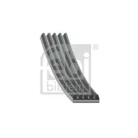 FEBI BILSTEIN 28857 Keilrippenriemen für FIAT, LANCIA, PEUGEOT, ALFA, BMW, JEEP