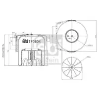 FEBI BILSTEIN 170804 Luftfederbalg