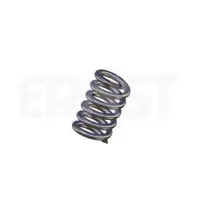 ERNST 493666 Feder