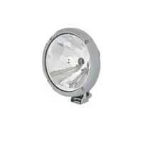 HELLA 1F3 010 119-001 FSW Rallye 3003 Halogen
