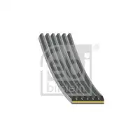 FEBI BILSTEIN 184954 Keilrippenriemen