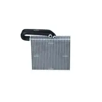NRF 36110 Verdampfer