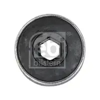 FEBI BILSTEIN 33973 Querlenkerlager für AUDI, SEAT