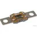 HERTH+BUSS ELPARTS 50295874 Sicherung 300A grau