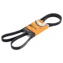 CONTINENTAL CTAM 5PK1715 Keilrippenriemen