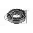 FEBI BILSTEIN 04843 Radlager für VW