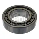FEBI BILSTEIN 04843 Radlager für VW