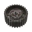 FEBI BILSTEIN 10623 Umlenkrolle für VW, TOYOTA