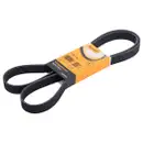 CONTINENTAL CTAM 7PK1705 Keilrippenriemen
