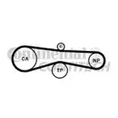 CONTINENTAL CTAM CT1131 Zahnriemen